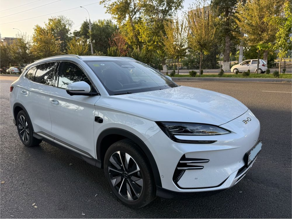 Byd chempion 605 smart 2025/2026 natariusga tayor