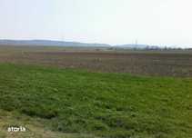 Teren extravilan 5.800 mp – Prodanesti, com. Creaca, jud. Sălaj