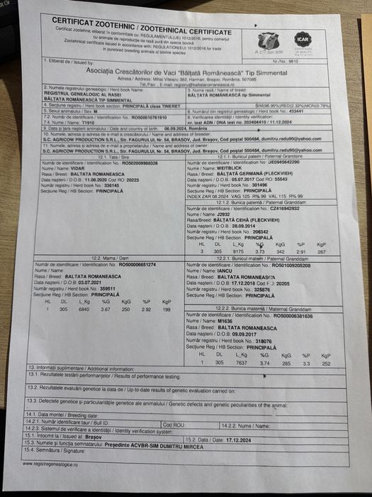 Taur reproductie cu C.Z.