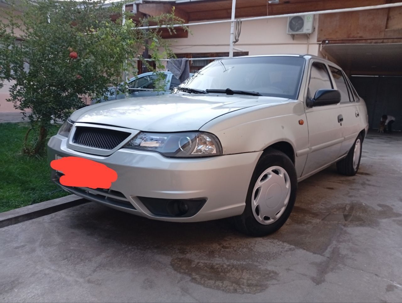 Sirochna neksia sitiladi