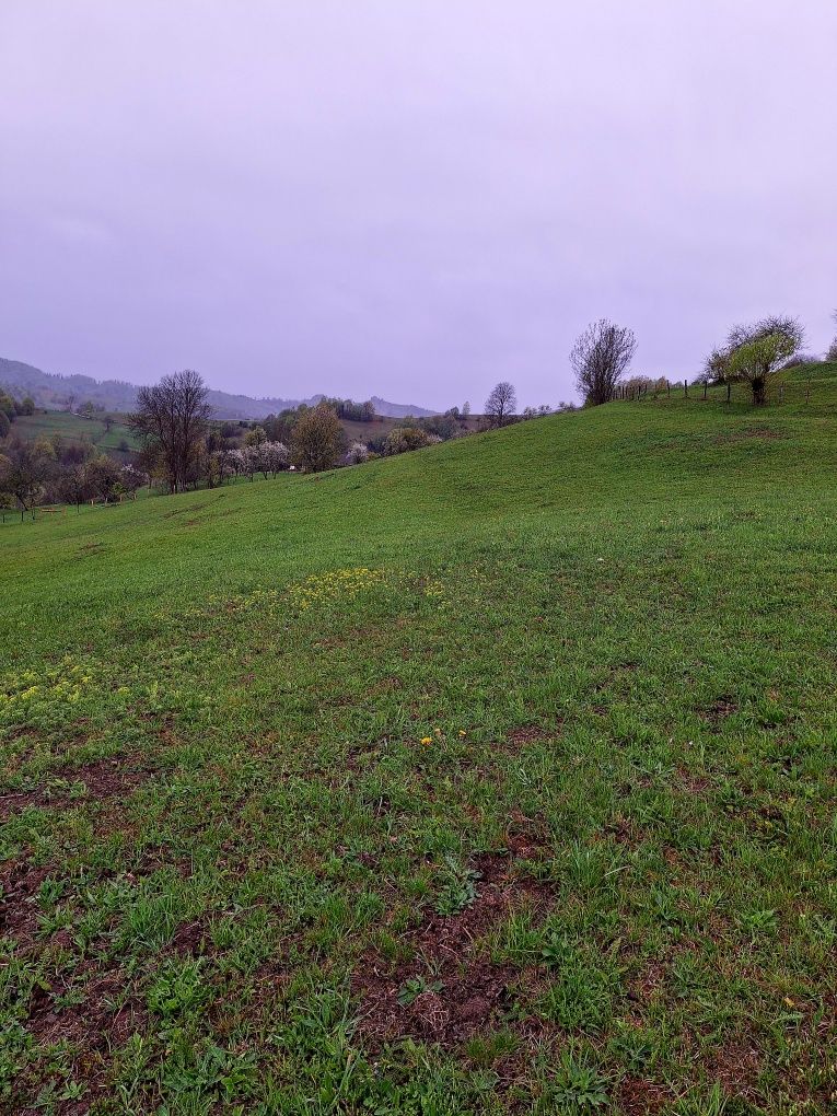 Vând casă cu teren!