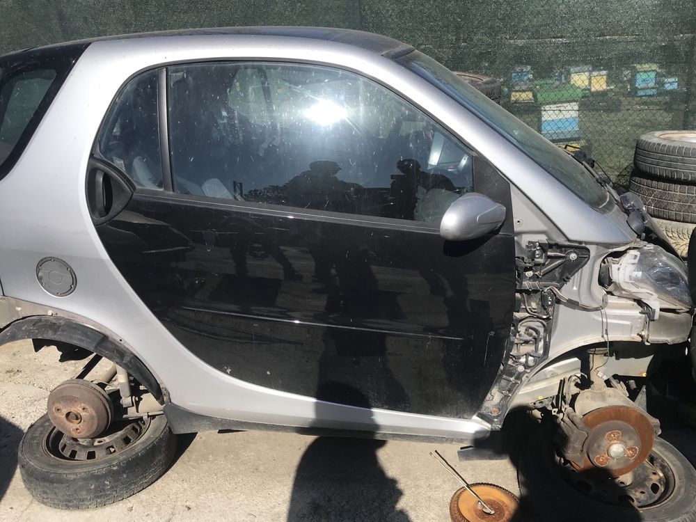 Portiere Smart ForTwo