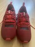 Маратонки Puma Hybrid