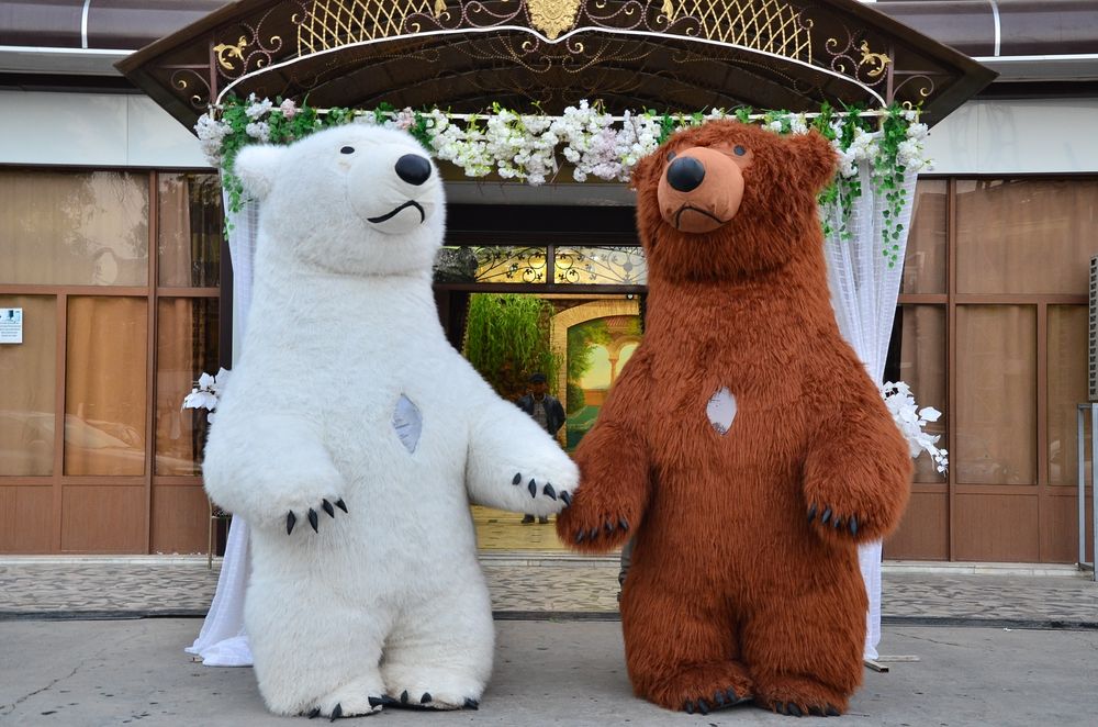 AYIQLAR  xizmati (3.5metrlik) Qashqadaryo