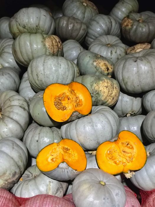 Dovleac de copt sau placinte