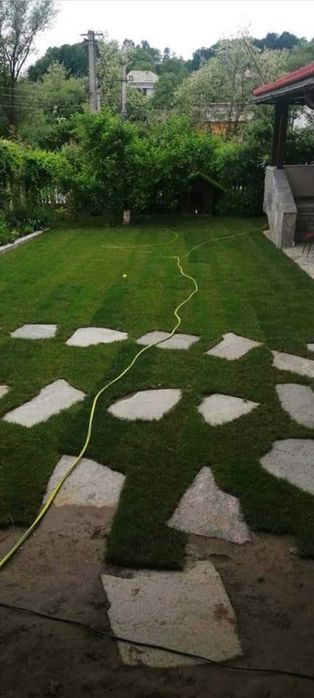 Gazon rezistent și ușor de întreținut – Livrare în toată țara