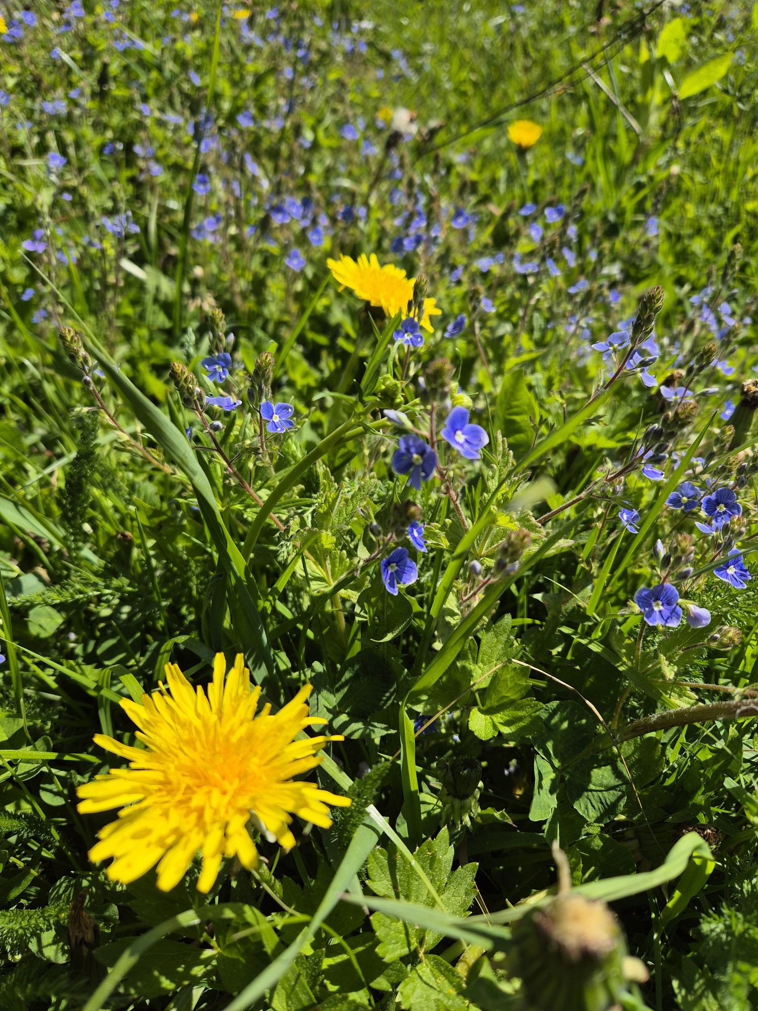 Vand casa si teren Lunca Ilvei zona Cucureasa