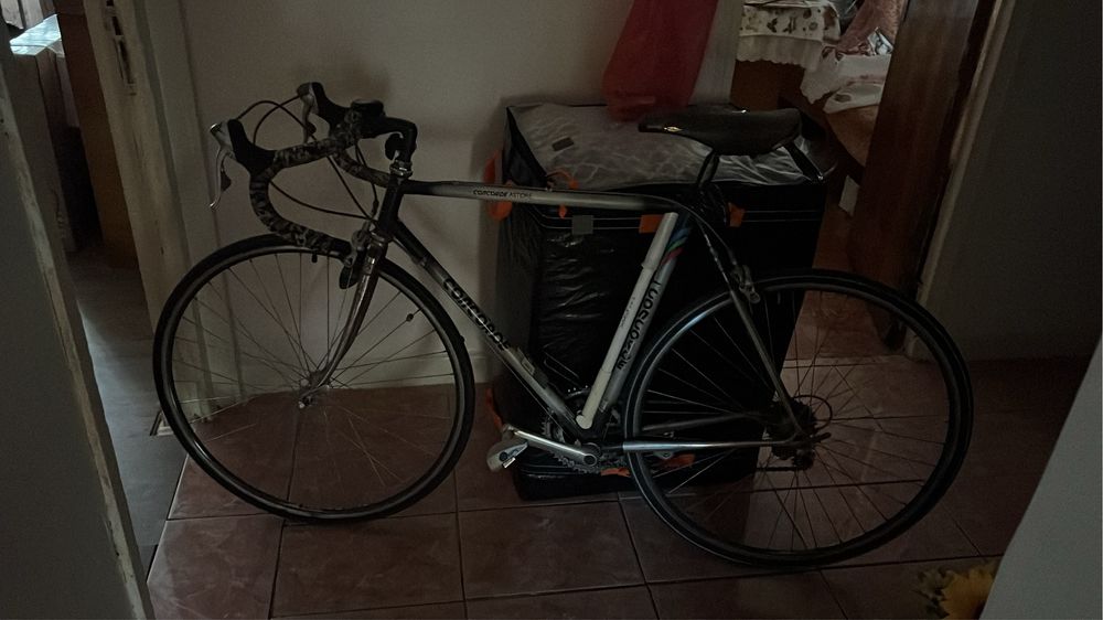 Cursiera Concorde Astore