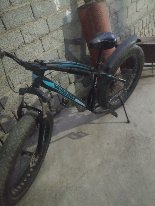 Veli sotiladi narxi arzon