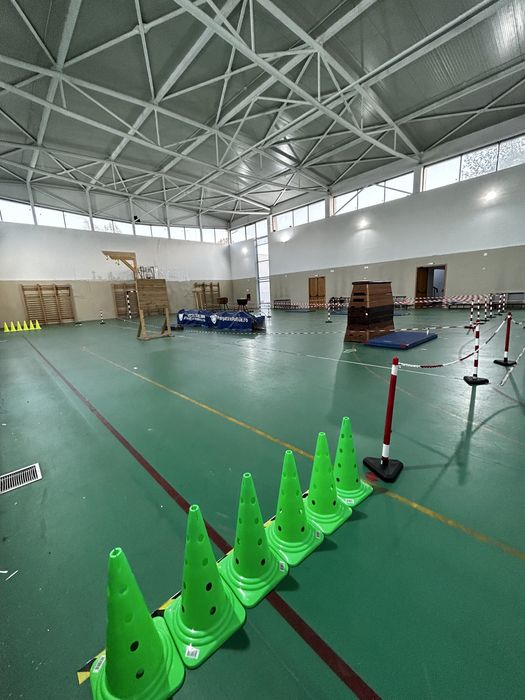 Pregatire Sportiva Politie