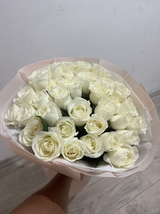 Продам розы 35 шт