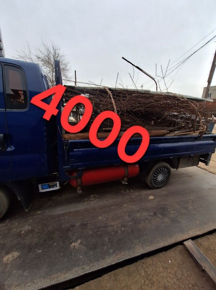 Металлолом металлолом оламиз тошкент буйлаб