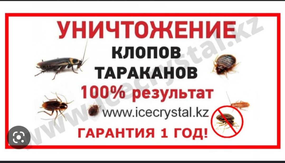 Дезинфекция жасаймыз,Колжетимди багада.Сапасы жогары
