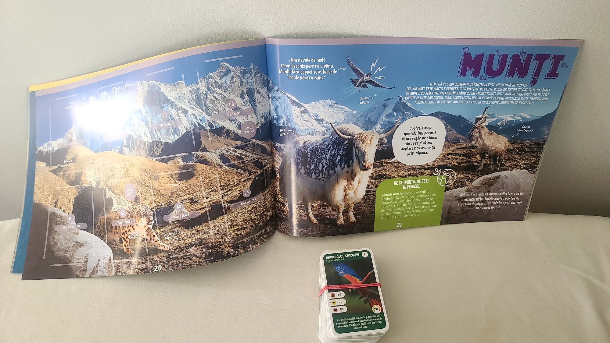 Album si set complet Expeditie in jurul lumii 1 Mega I