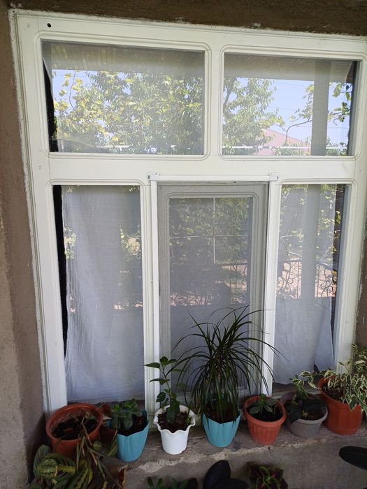 Oкна из дерева 2х 1,56.  1 шт 1,55х1,30