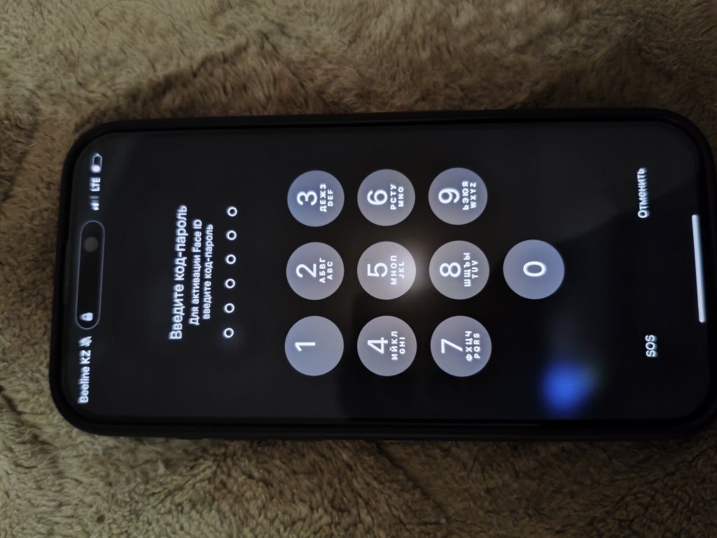 iPhone 16 pro max