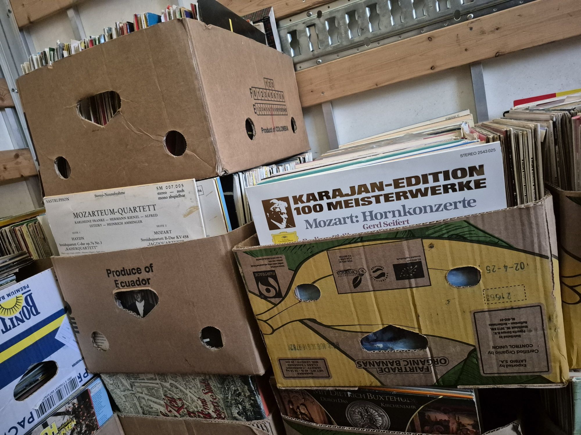 Lot 12000lp Discuri Vinil cu muzică clasică mixta 

Artiști:

- Franz