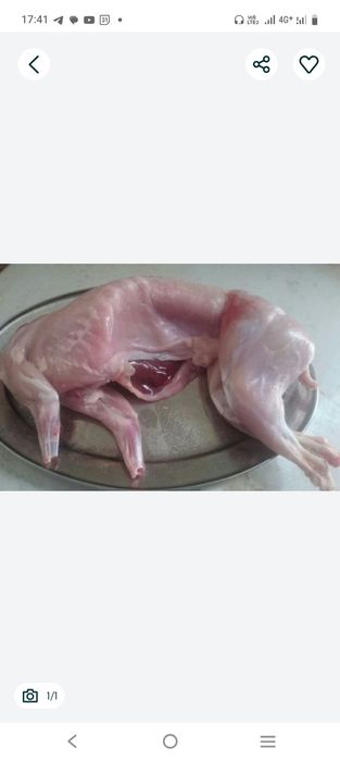 мяса тушка кроликазе