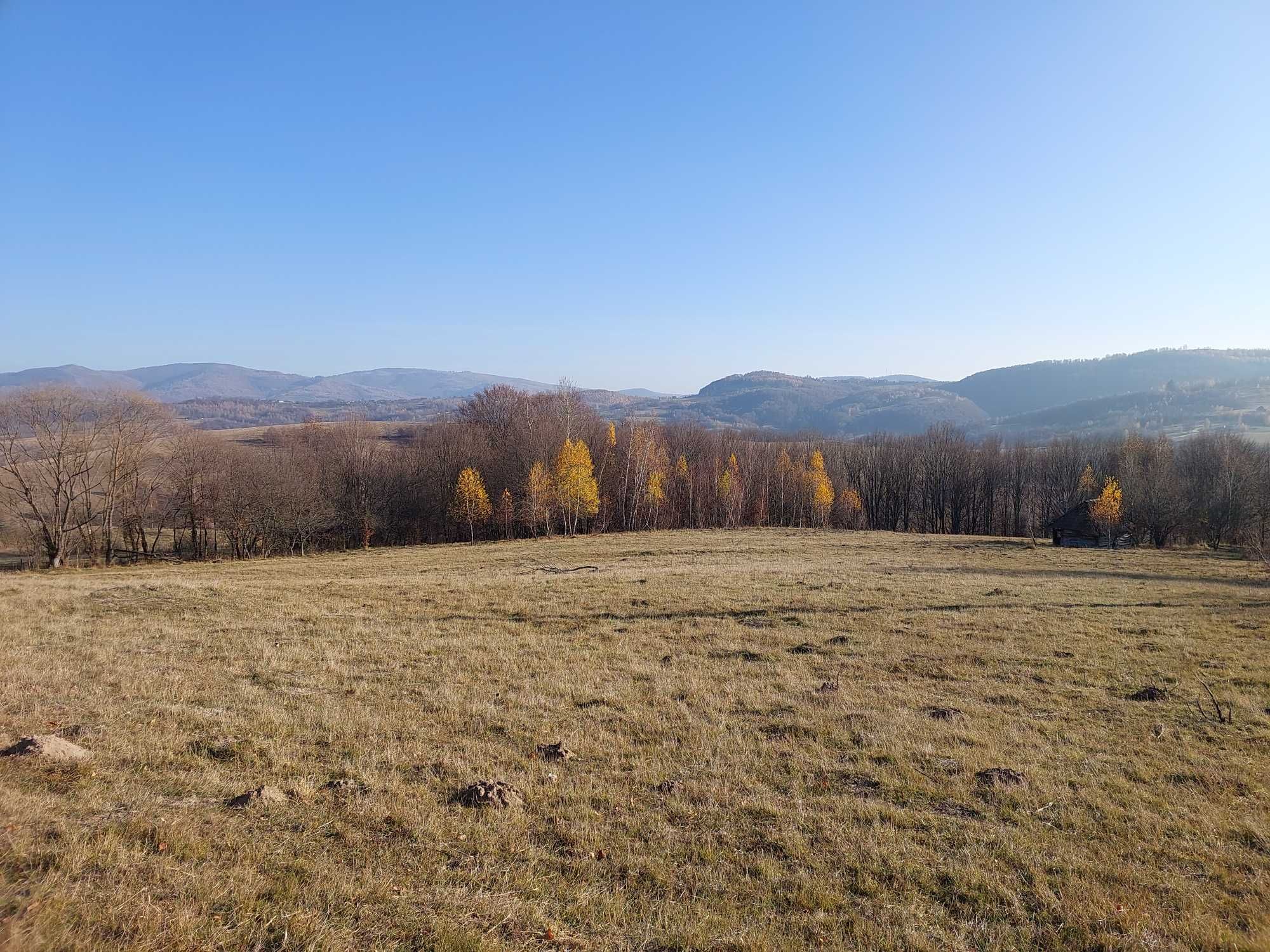 Teren intravilan de vanzare - Suprafata mare