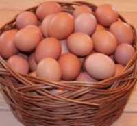 Яйца, домашние не дорого, очень вкусные