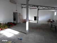 Inchiriere hala industriala in Bucov,