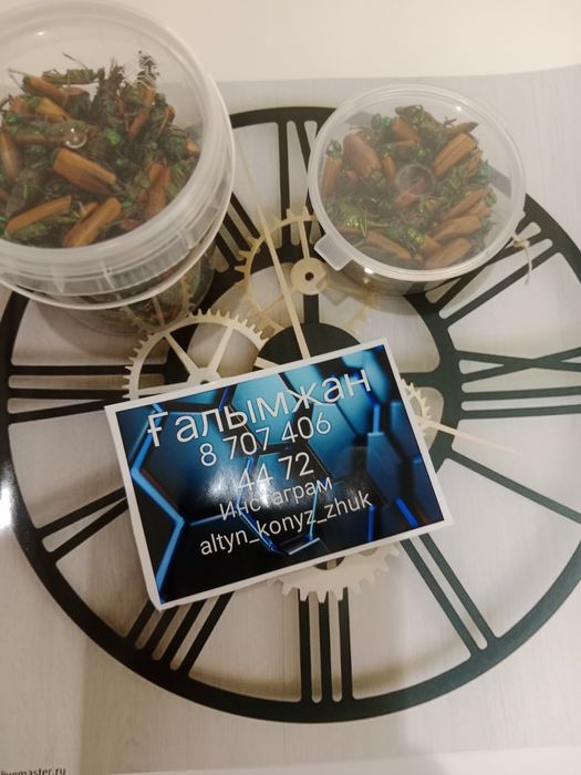 Алтын коныз Майский жук Золотой жук емдык Простотитке