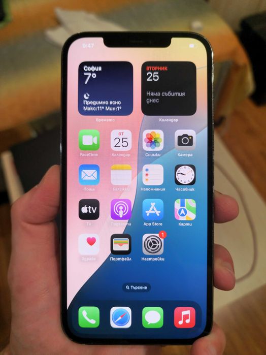 iPhone 12 Pro Max (Graphite)