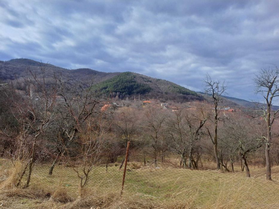 Teren INTRAVILAN Fantanele