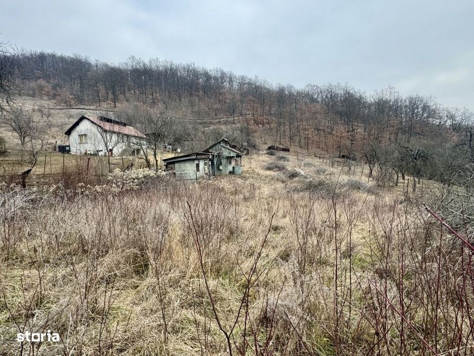 Teren intravilan, loc de casa,  panorama