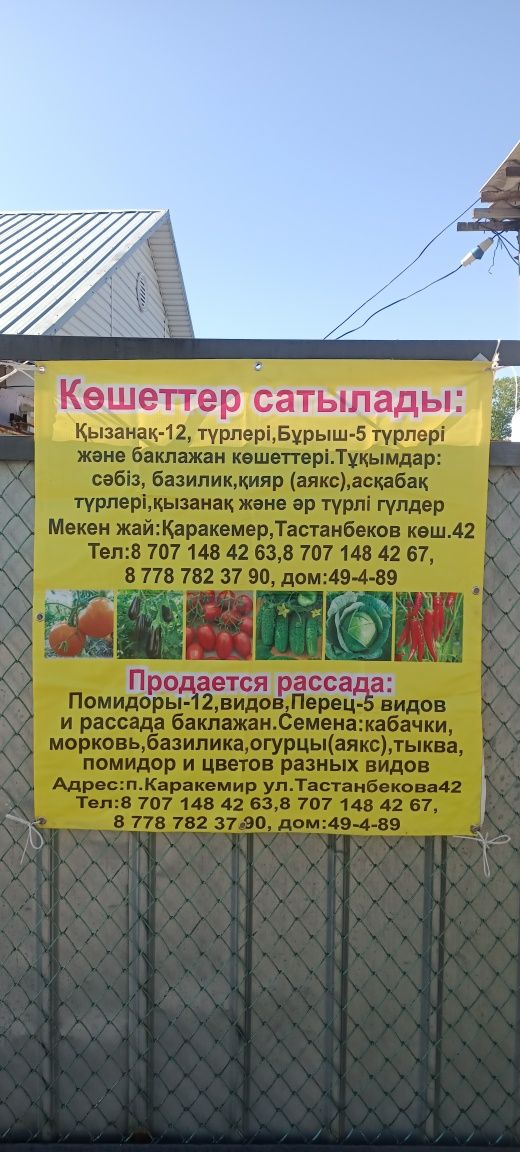 Продажа рассады разных сортов