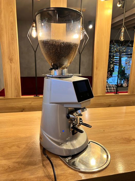 Râșniță de cafea Fiorenzato F64 EVO