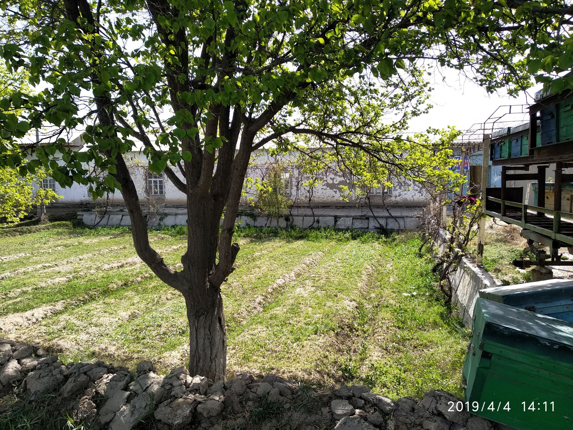 Shofirkon tumanida Navoiy kalxoz.Talsangobod qfyda  uchaska sotiladi