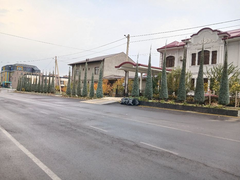 Archa kesish.va. gazon ekish. dorilash xizmati