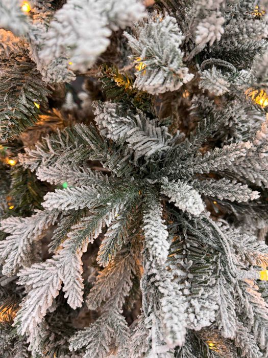 Qorli archa. Снежная ёлка. Заснеженная ёлка. Бесплатная доставка