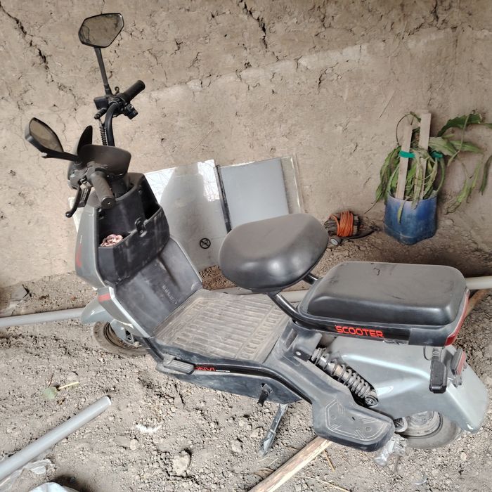 Sukutir arzon narxda