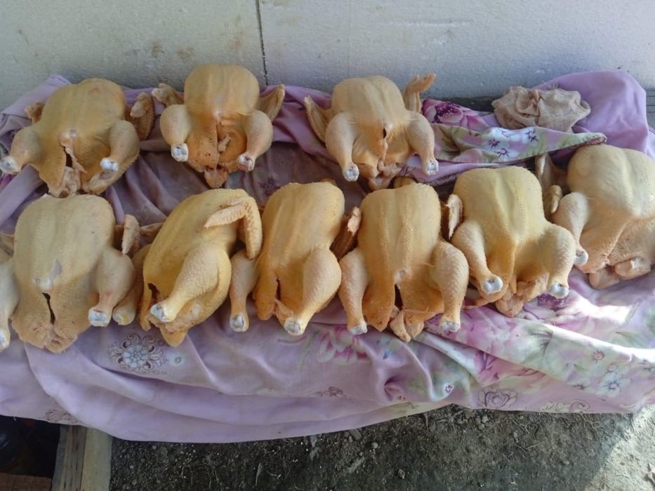 Мясо курочек