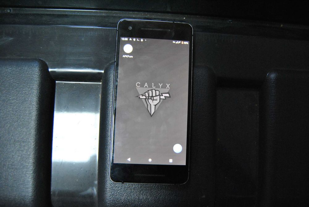Pixel 2 - Calyxos