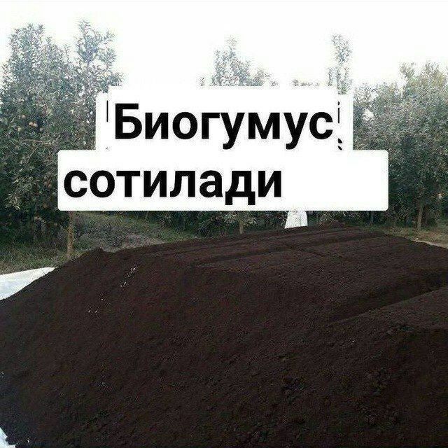 Калифорния кизил ёмгир чувалчанглари сотувда