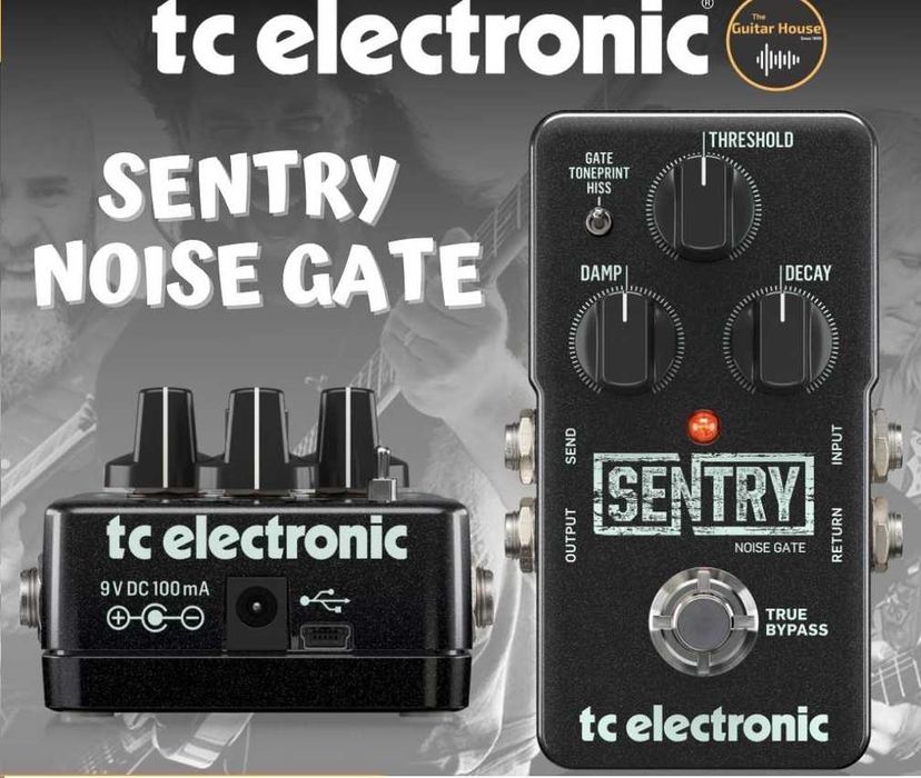 TC Electronic Sentry Noise Gate в отлично състояние.