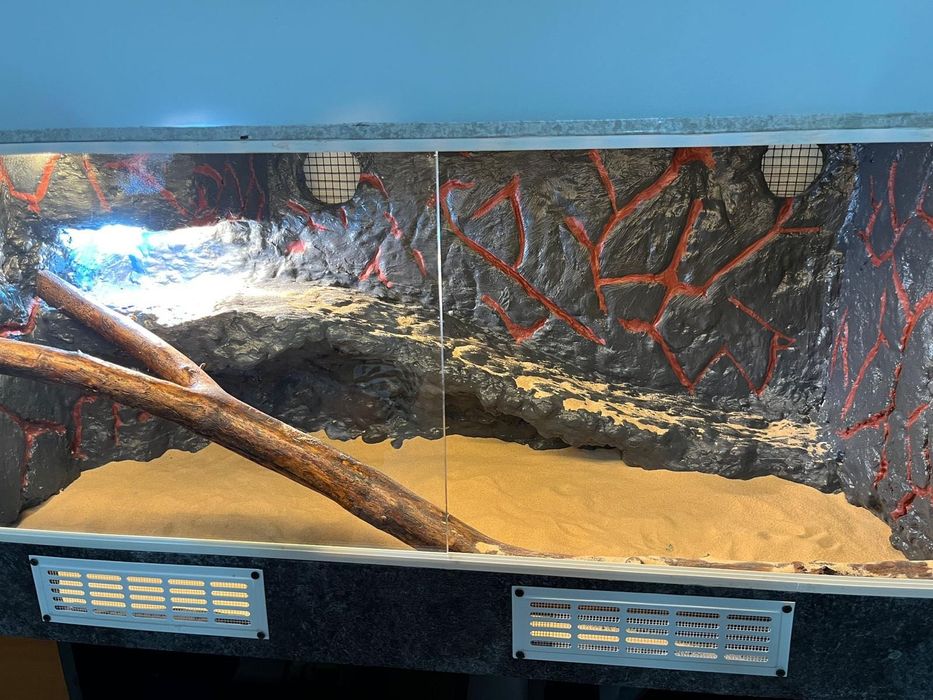 TERARIU Reptile 120x60x60cm