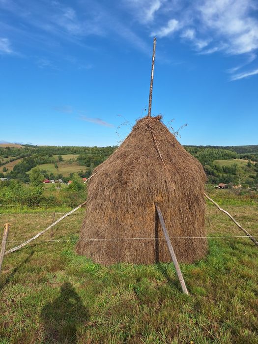 Vând 3 căpițe de fân