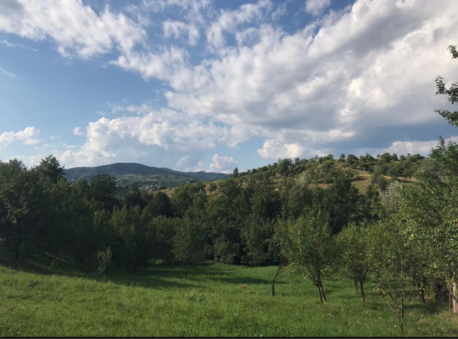 Teren intravilan, sat Catunu, comuna Drajna, Prahova