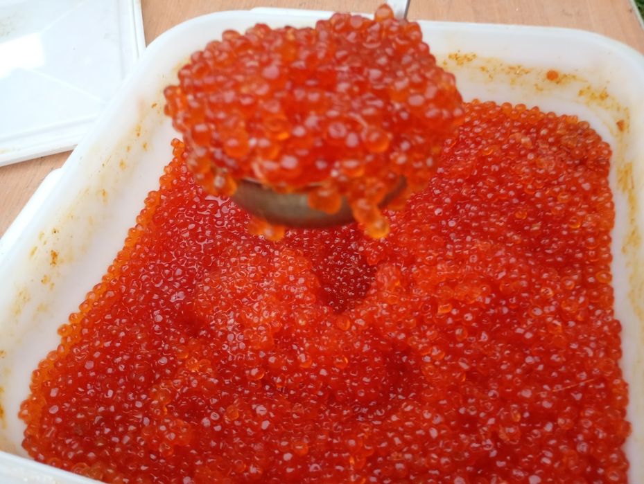 Продам красную икру кета