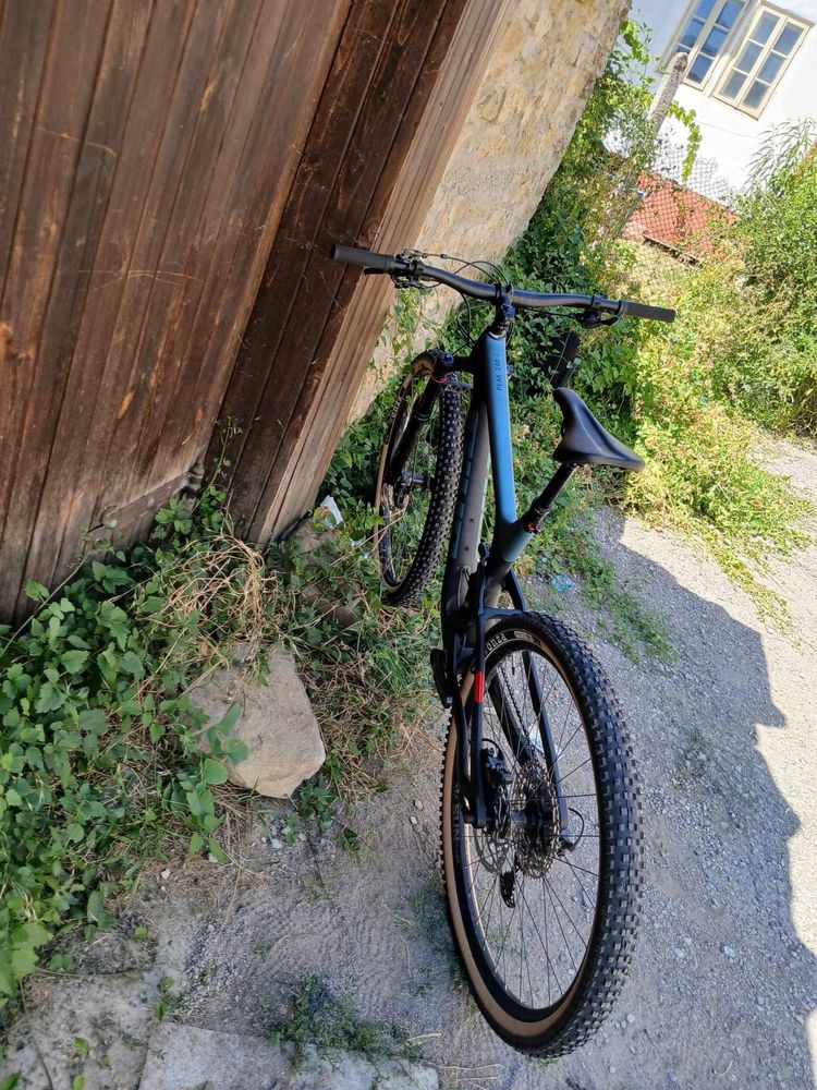Bixs Peak 240 carbon