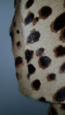 Vand haina din blana de leopard