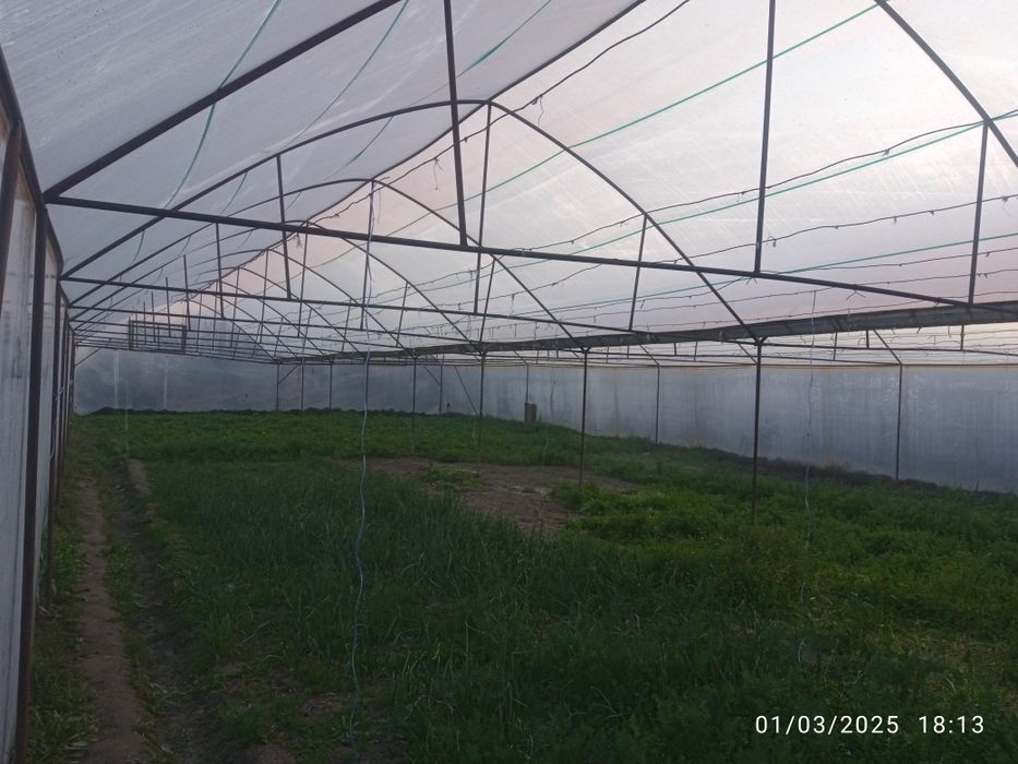 Parnik issiqxona sotiladi