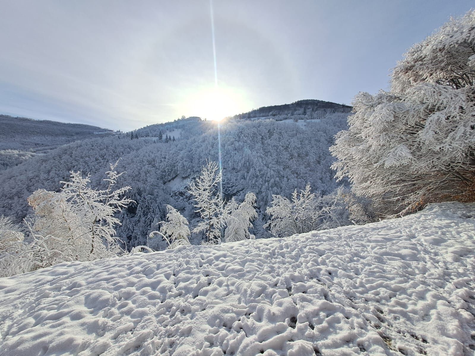 Cabana de vanzare in Muntele Rece