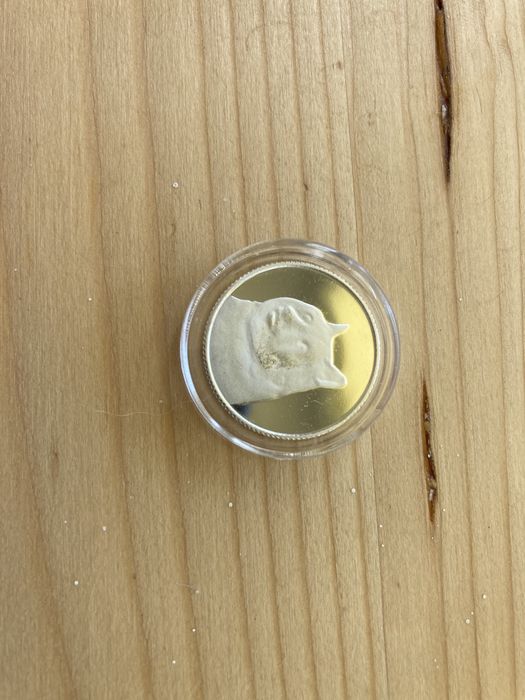 Shiba Inu Silver Coin /Dogecoin/
