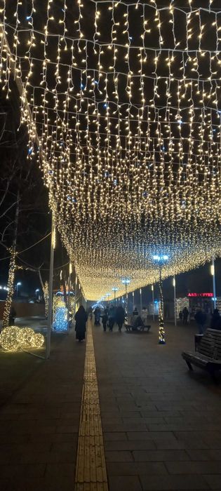 продаю гирлянды опт и роз