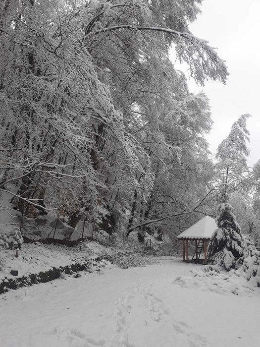 cabana de inchiriat de Revelion.